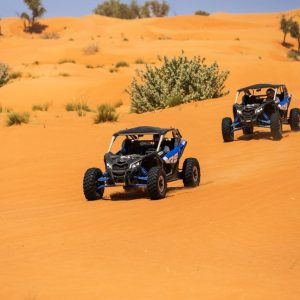 Arabian Dune Buggy - Exclusive 2025 Deals & Packages