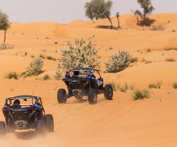 Dune-Buggy-Tours